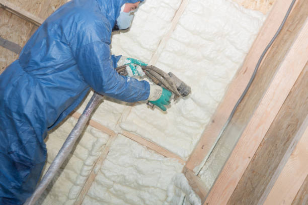 Best Soundproof Insulation  in Valinda, CA